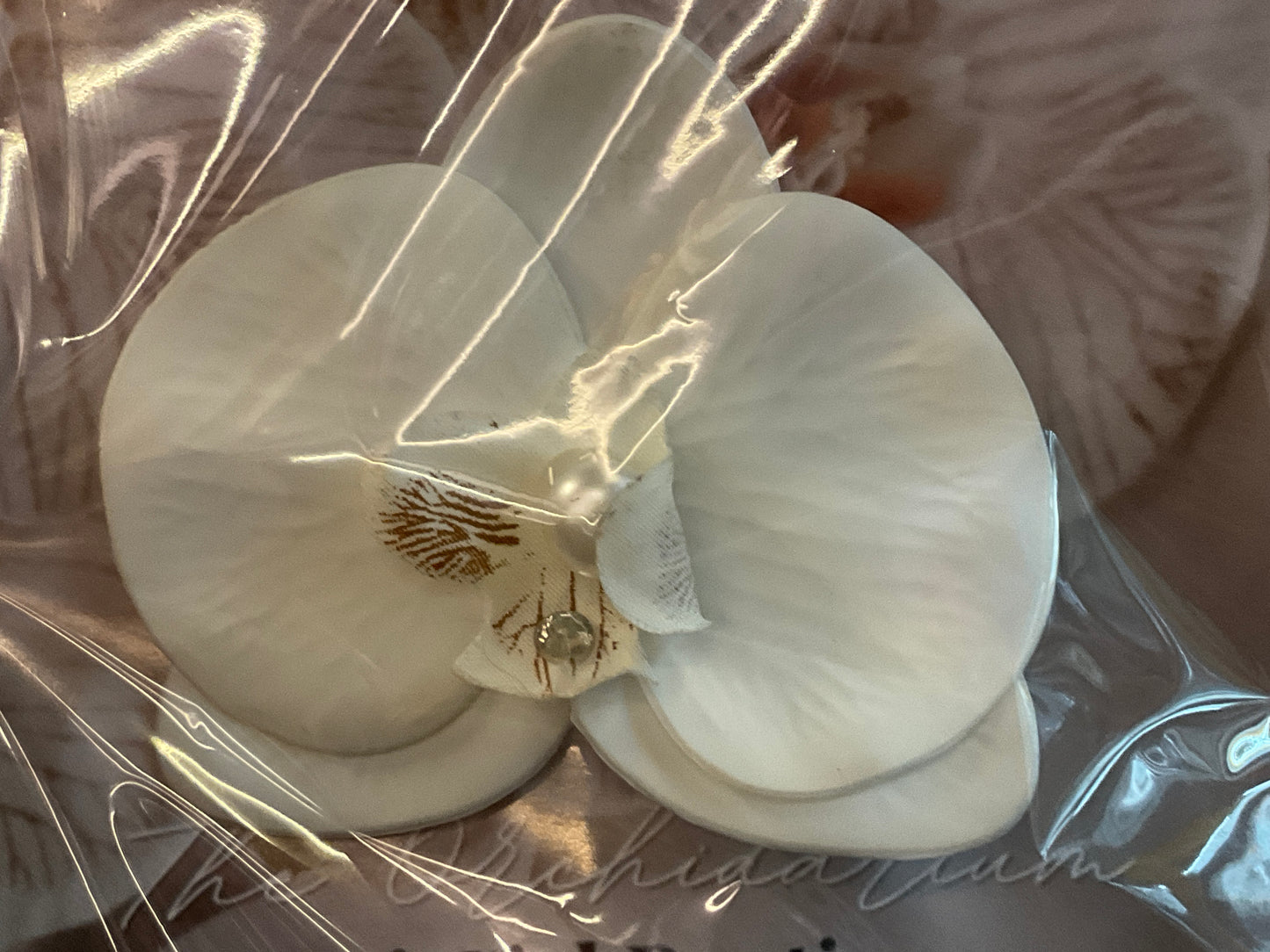 Orchid Clip Coll.5