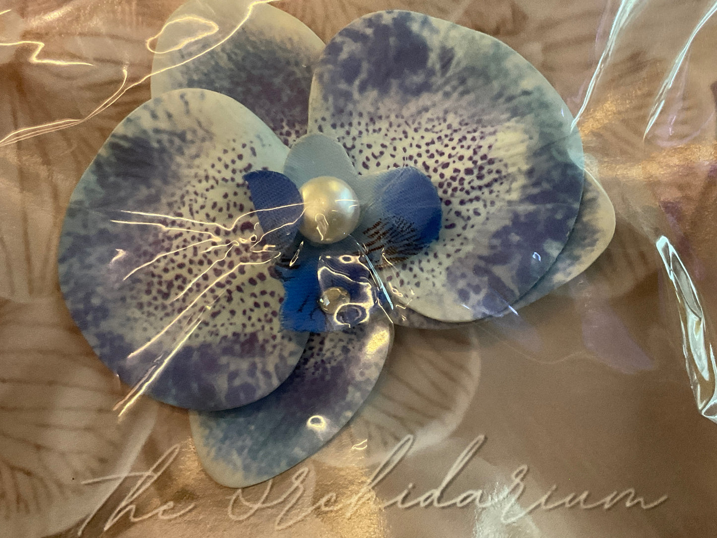 Orchid Clip Coll.5