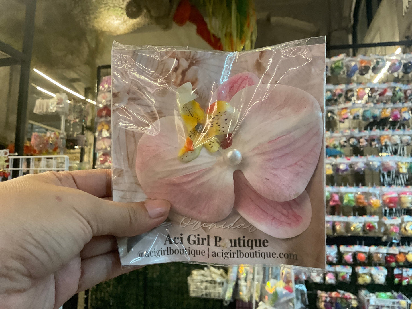 Orchid Clip Coll.4