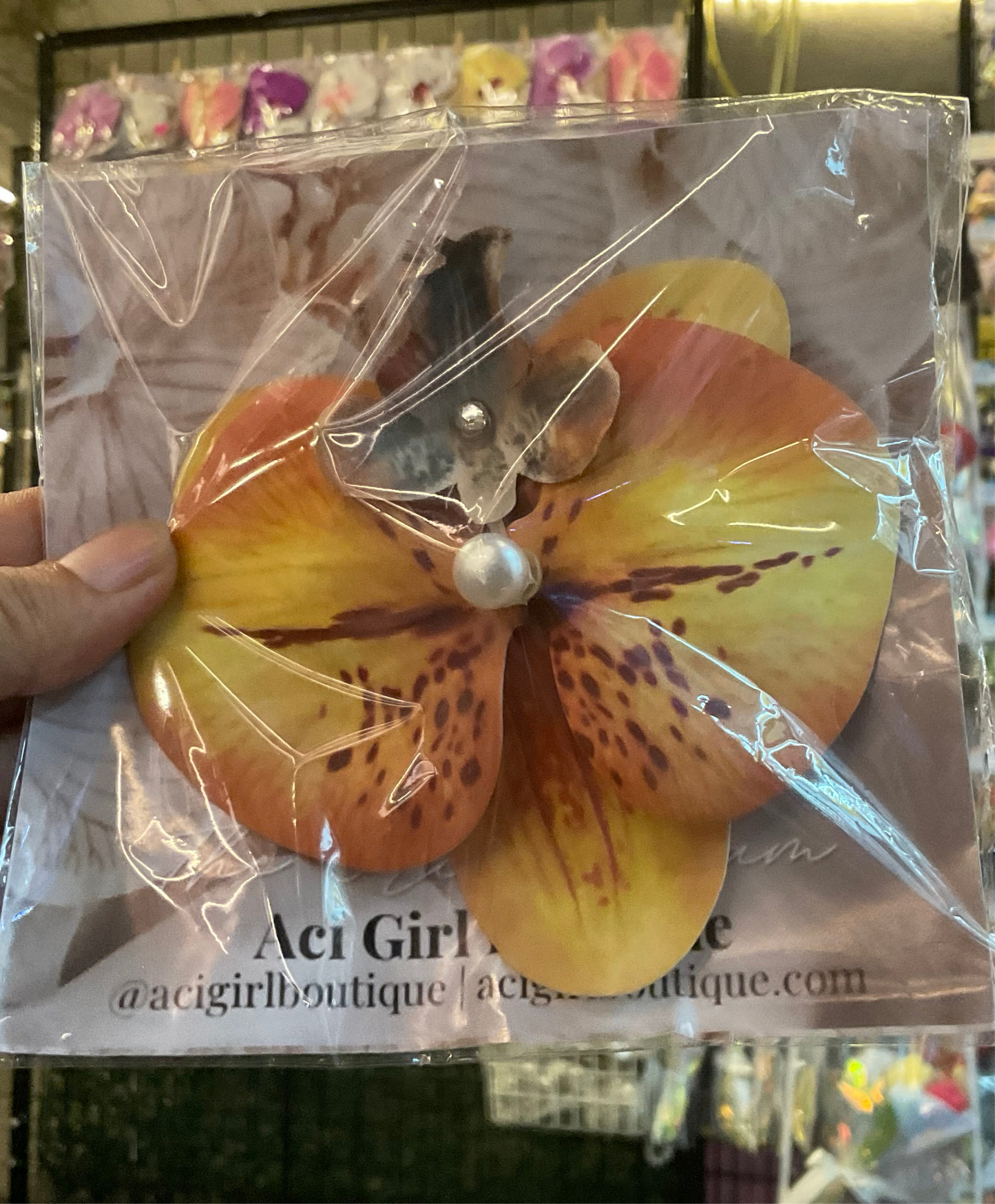 Orchid Clip Coll.4