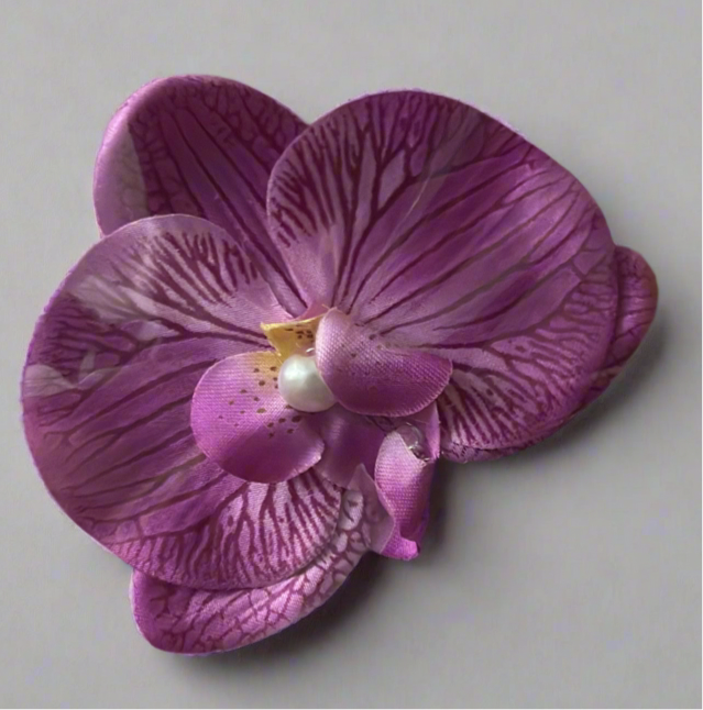 Orchid Clip Coll.1