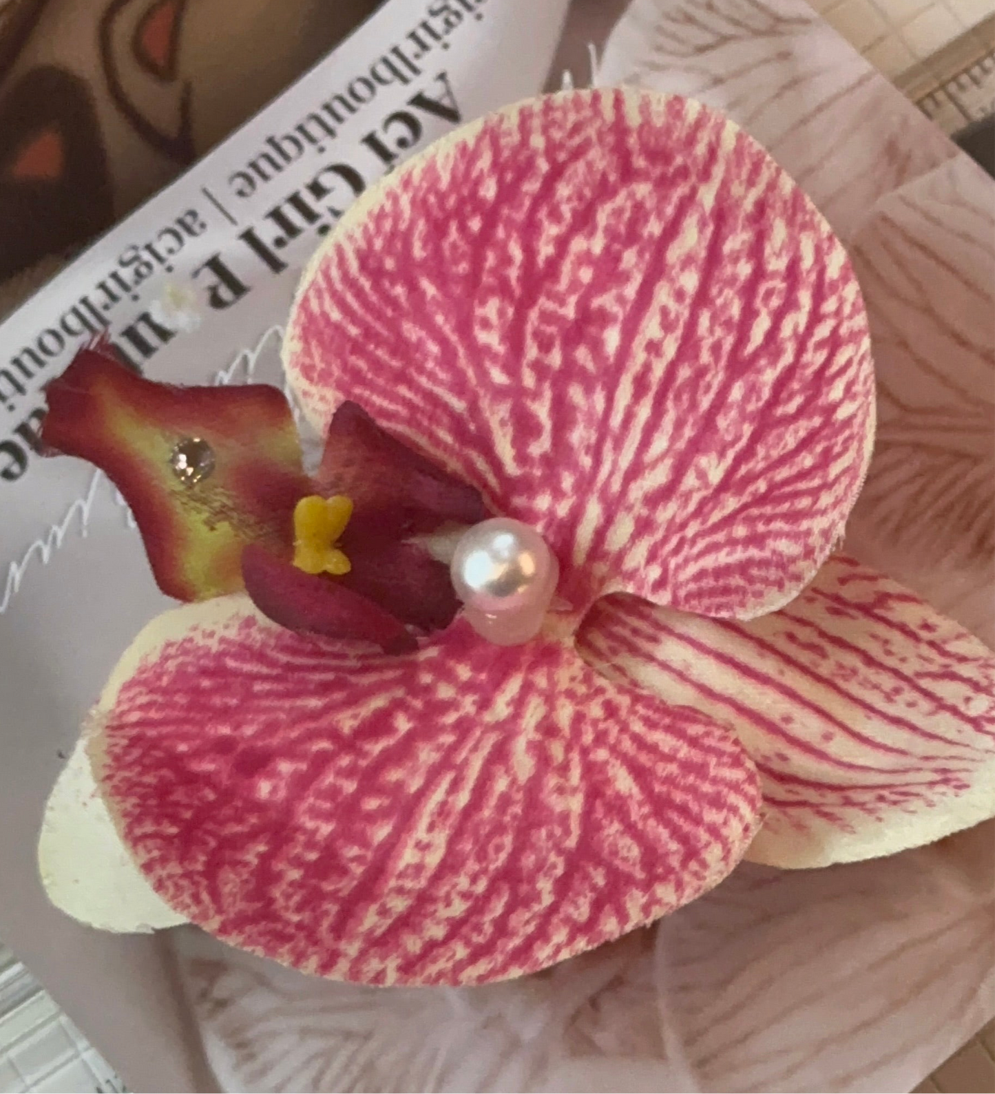 Orchid Clip Coll.2