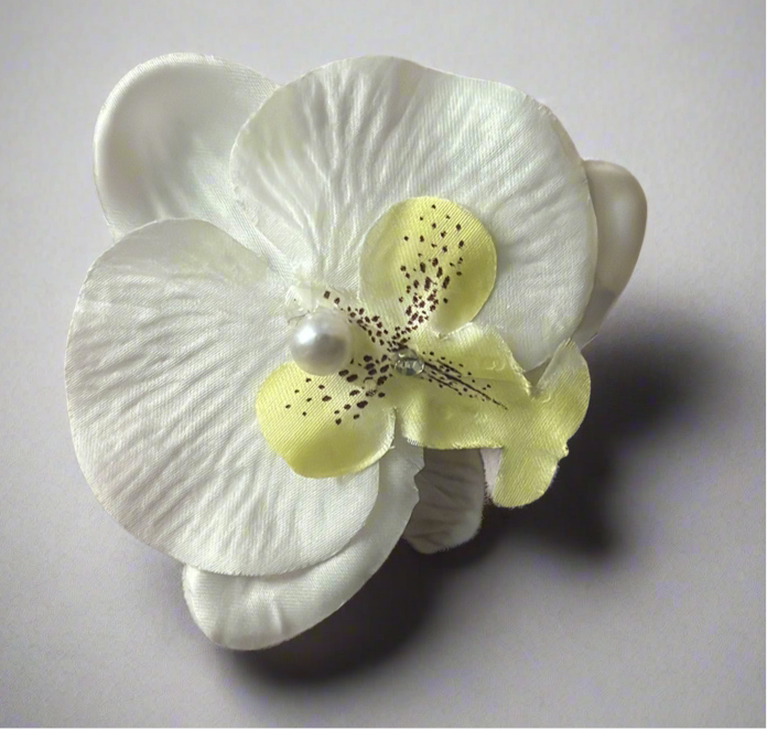 Orchid Clip Coll.1