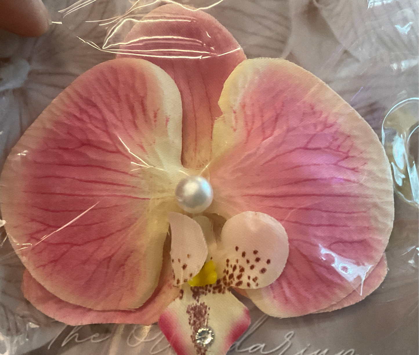 Orchid Clip Coll.2