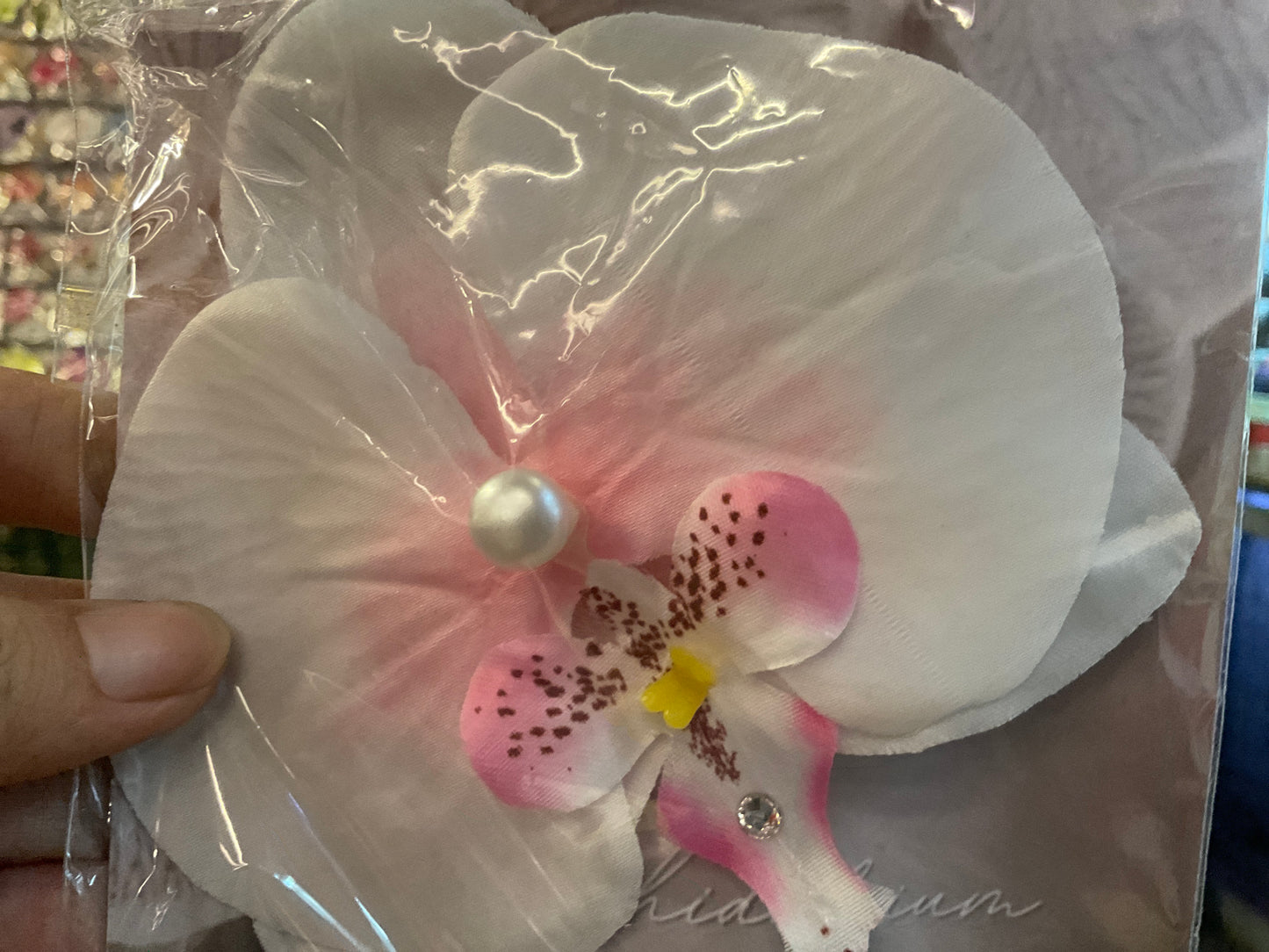 Orchid Clip Coll.2