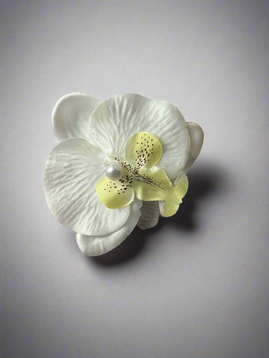 Orchid Clip Coll.1
