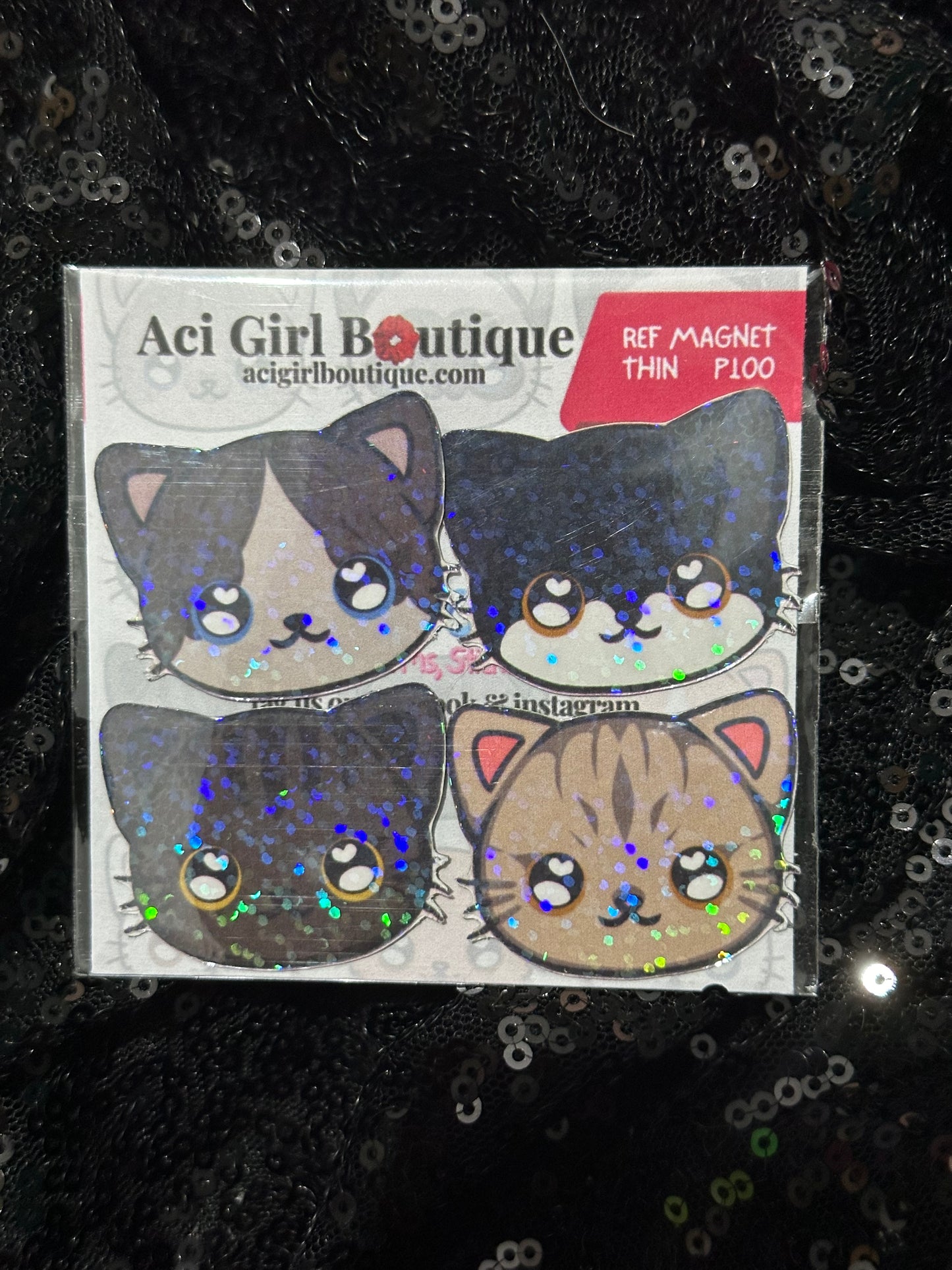 CCICCIBOORICCI Cat Art Magnet Slim