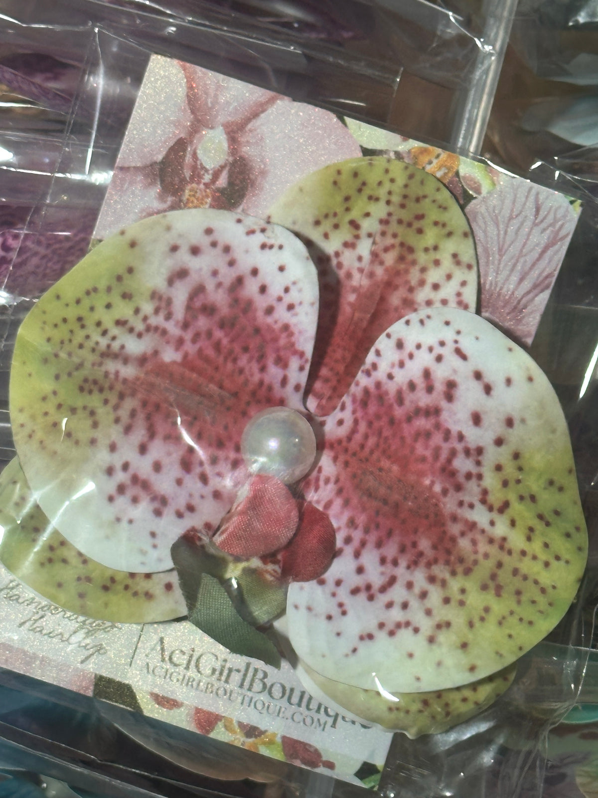 Orchid Clip Coll.4