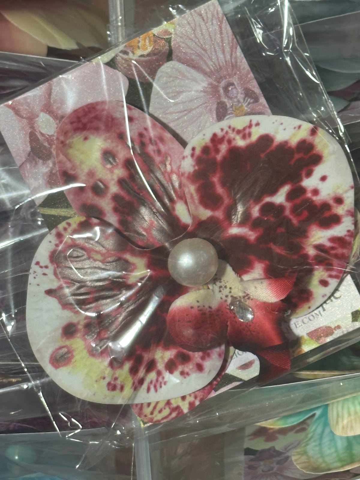 Orchid Clip Coll.4
