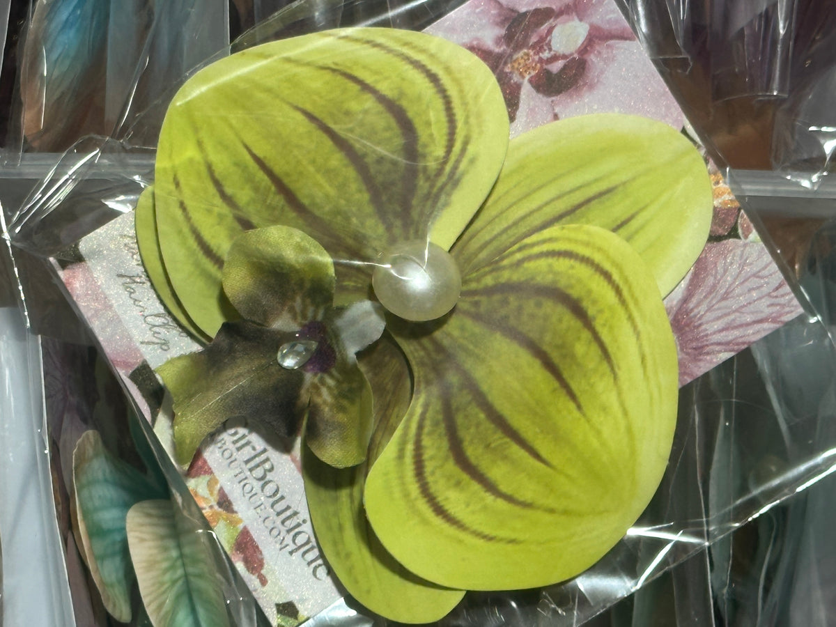 Orchid Clip Coll.4
