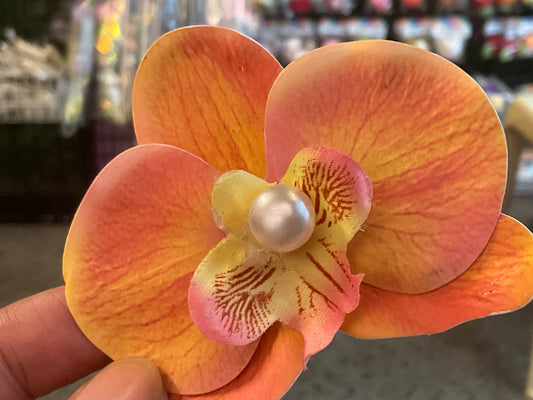 Orchid Clip Coll.5