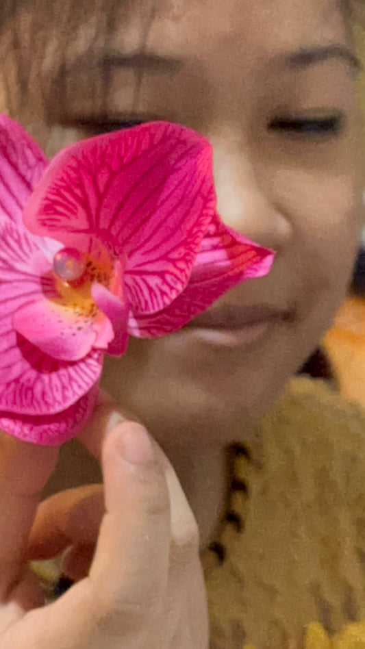 Orchid Clip Coll.1