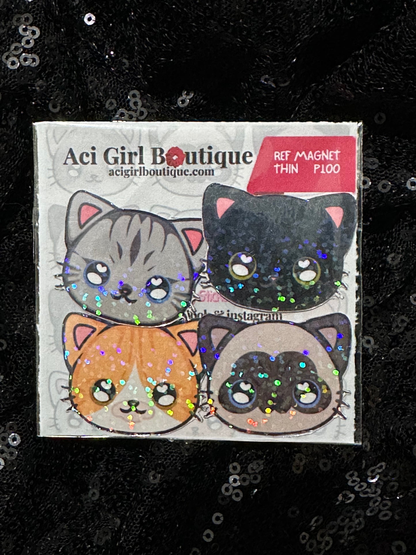 CCICCIBOORICCI Cat Art Magnet Slim