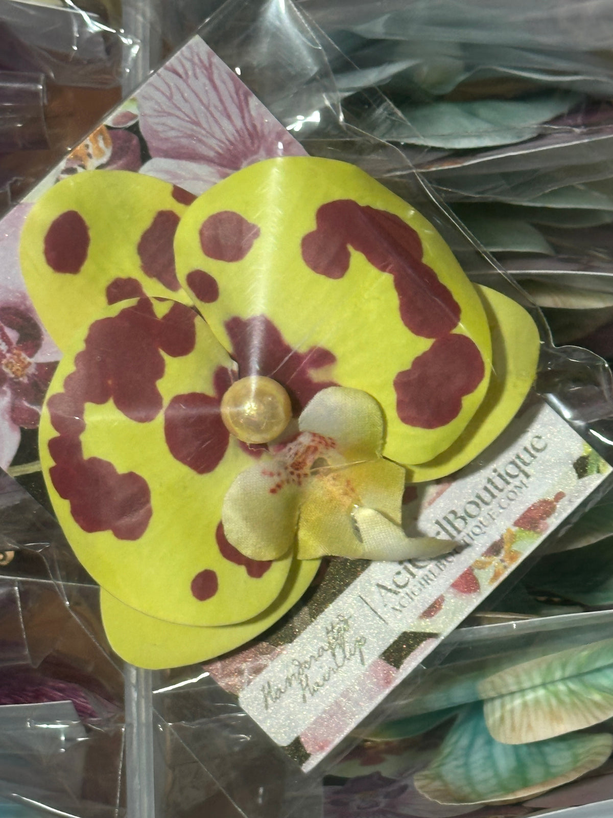 Orchid Clip Coll.4