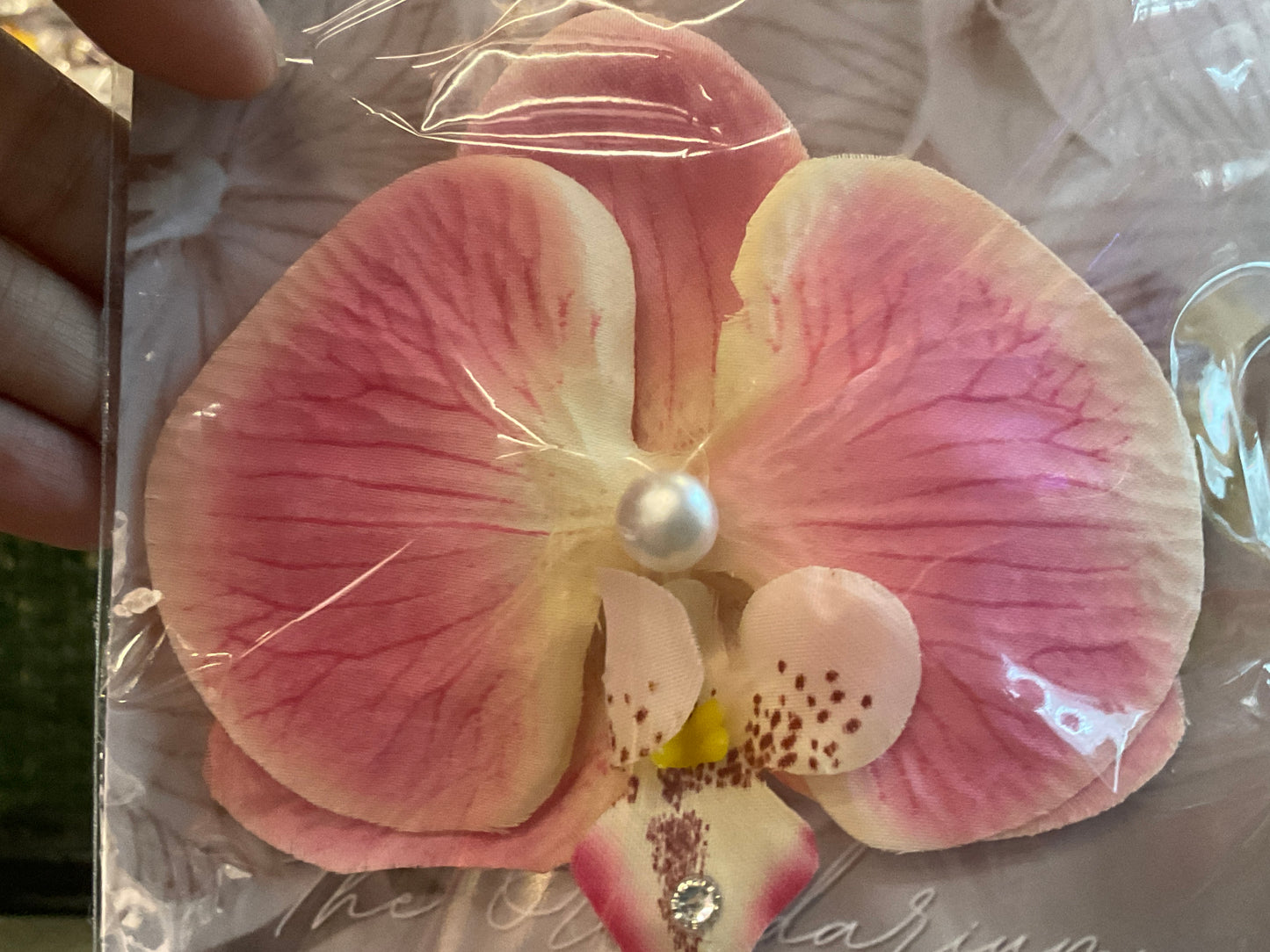 Orchid Clip Coll.2