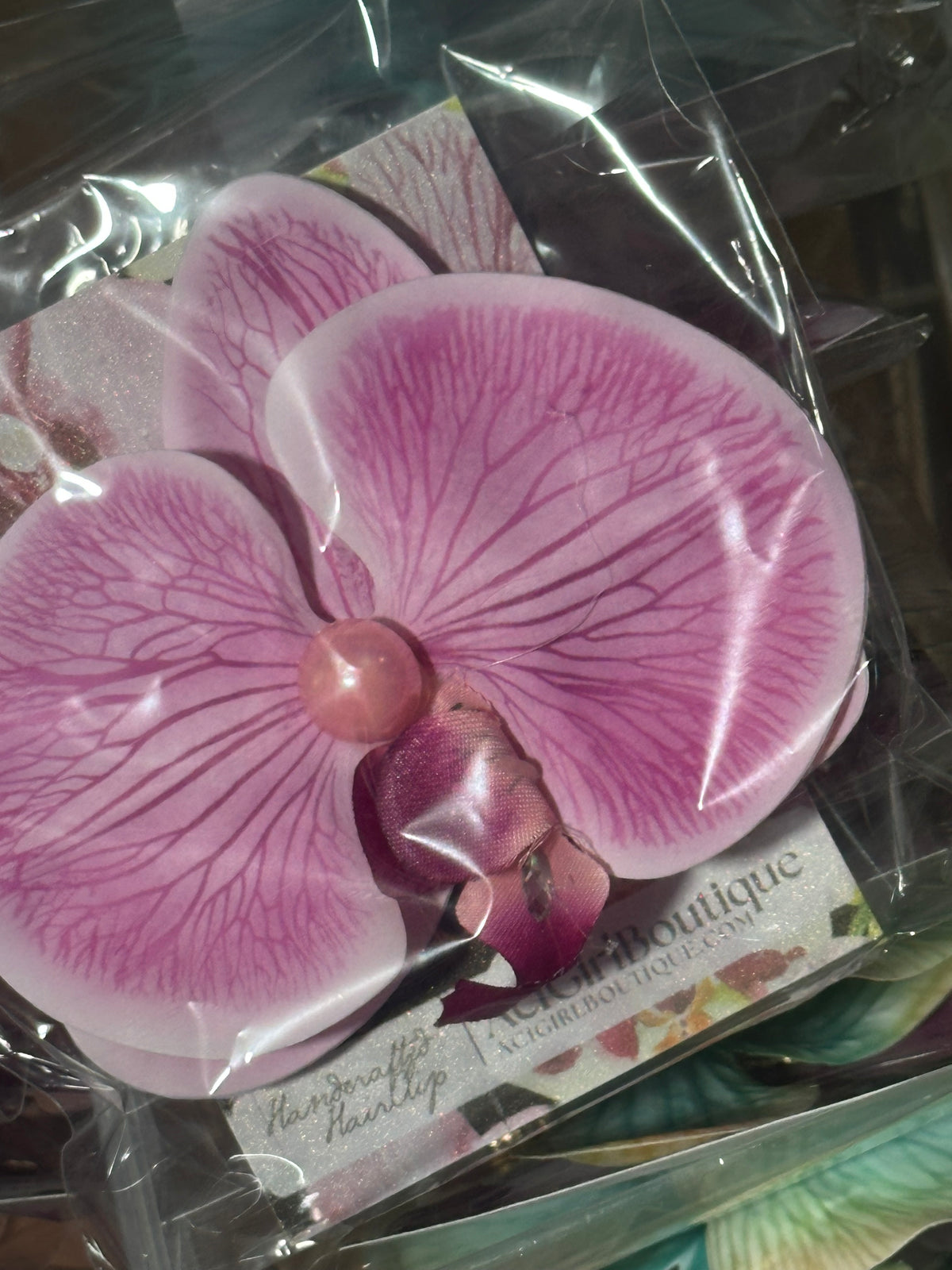 Orchid Clip Coll.4