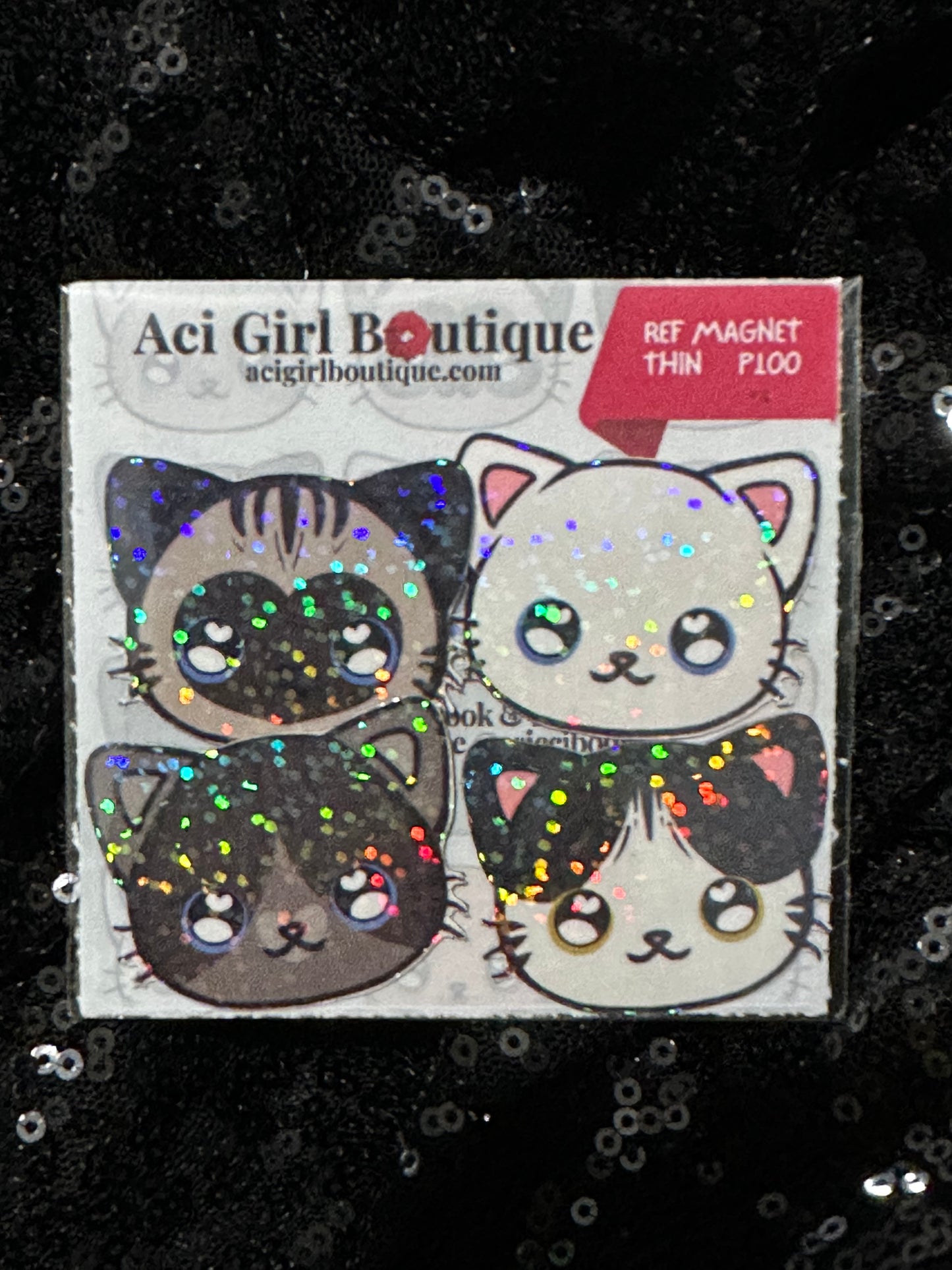 CCICCIBOORICCI Cat Art Magnet Slim